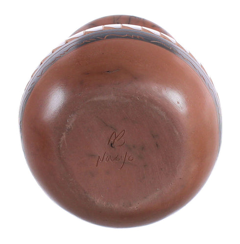 Native American Navajo Horse Hair Vase JX123565